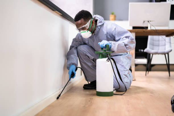 Best Bed Bug Extermination  in Hampton Manor, NY